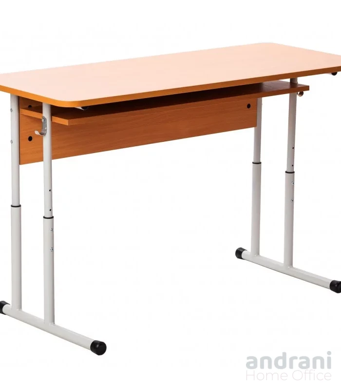 Двоен ученически чин